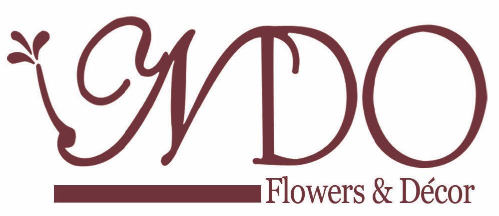 NDO Logo
