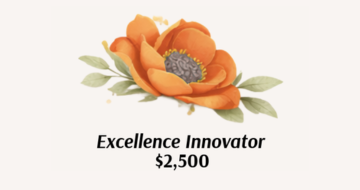 Excellence Innovator Level