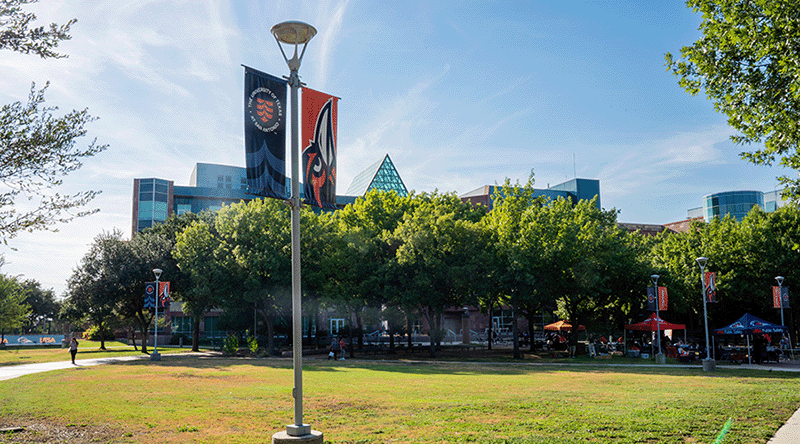 UT San Antonio Campus Flags