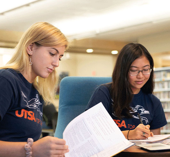 Students are studying for their courses